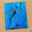 Close Up of Blue Bird's Feathers Photography Print (7 Sizes) - Frameable