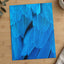 Close Up of Blue Bird's Feathers Photography Print (7 Sizes) - Frameable