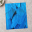 Close Up of Blue Bird's Feathers by George Dagerotip Photo Print Wall Decor