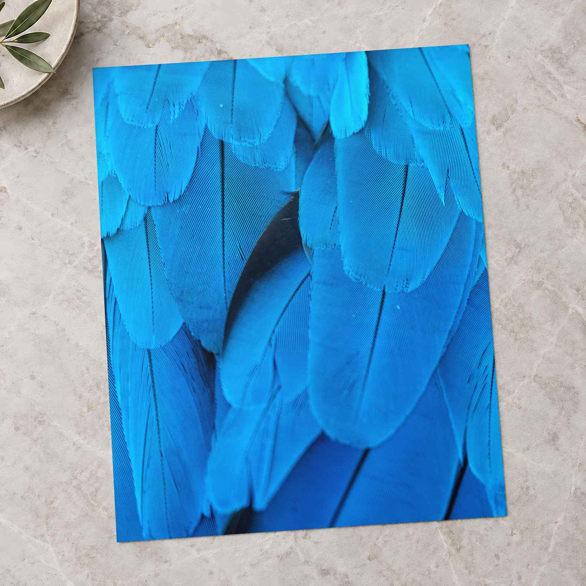 Close Up of Blue Bird's Feathers by George Dagerotip Photo Print Wall Decor