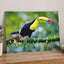 Colorful Toucan Perched on Branch Boca Tapada Photo Print (7 Sizes) - Frameable