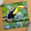 Colorful Toucan Perched on Branch Boca Tapada Photo Print (7 Sizes) - Frameable