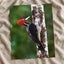 Red and Black Woodpecker on Tree Photo Wall Print (7 Sizes) - Frameable