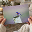 Blue Bird Sitting on Top of Wooden Post Petaluma Photo Print (7 Sizes)