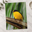 Yellow and Black Bird Sitting on Branch Photo Wall Art (7 Sizes) - High Quality