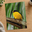 Yellow and Black Bird Sitting on Branch Photo Wall Art (7 Sizes) - High Quality