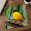 Yellow and Black Bird Sitting on Branch Photo Wall Art (7 Sizes) - High Quality