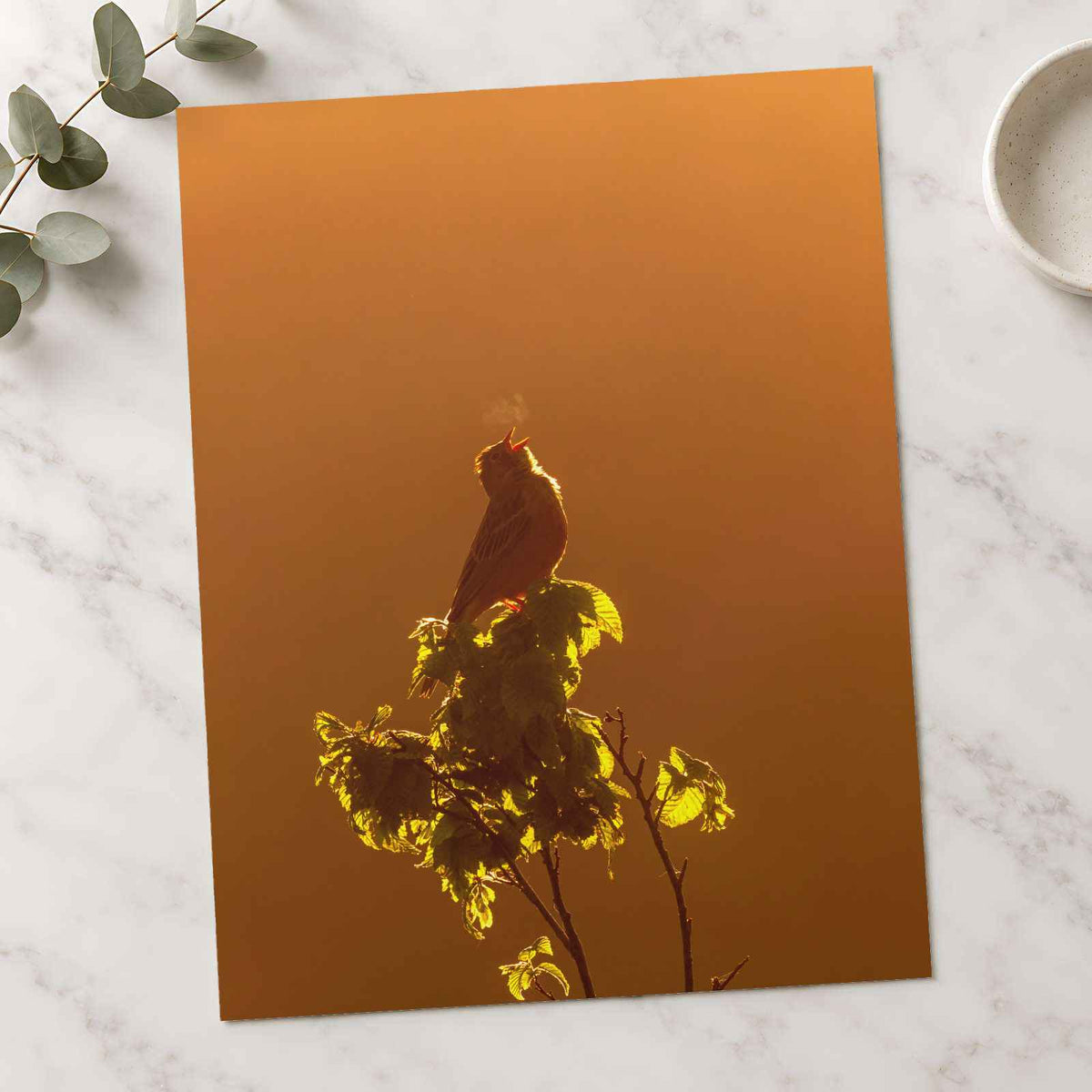 Bird Puffing Steam at Golden Hour Photography Print (7 Sizes) - Heavyweight