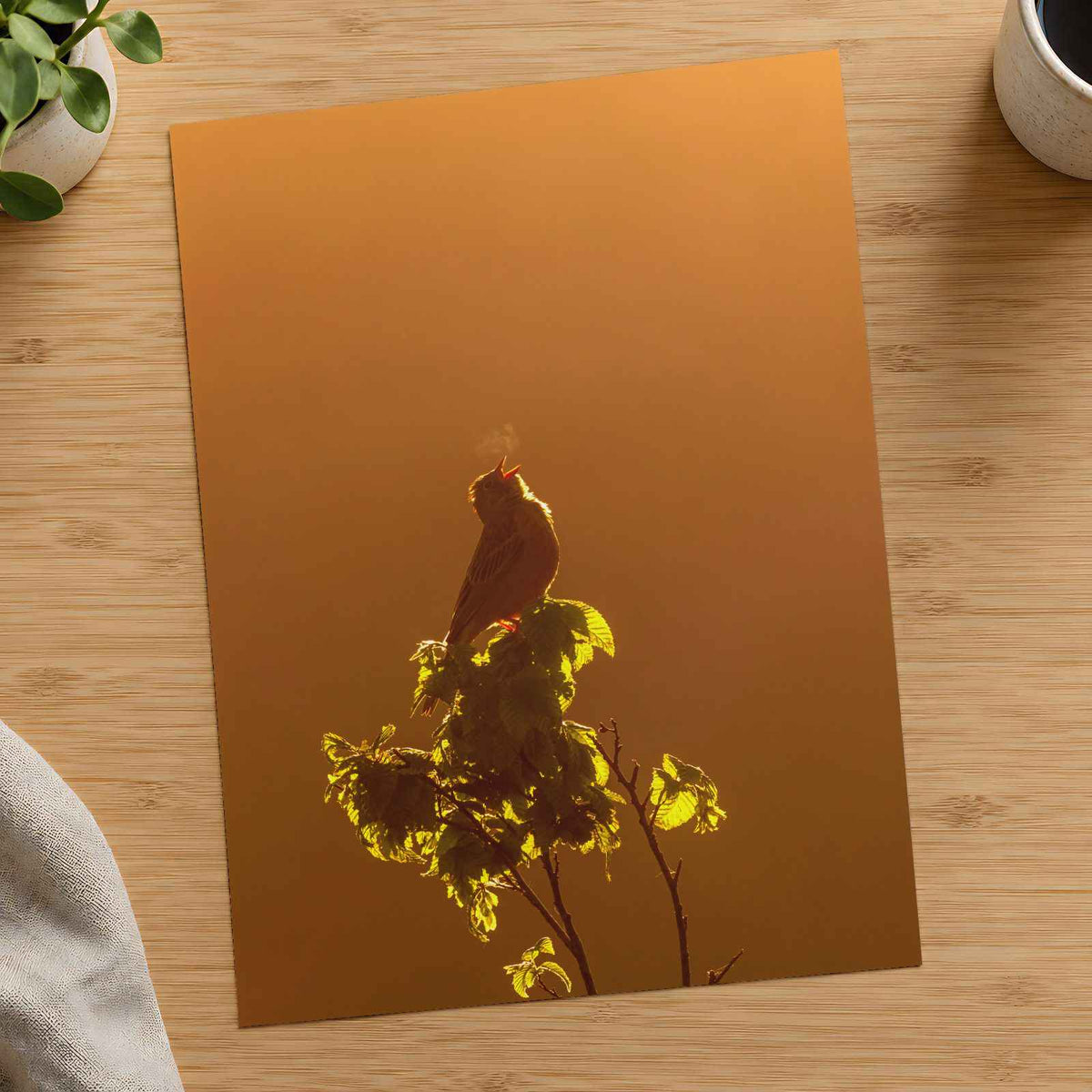 Bird Puffing Steam at Golden Hour Photography Print (7 Sizes) - Heavyweight