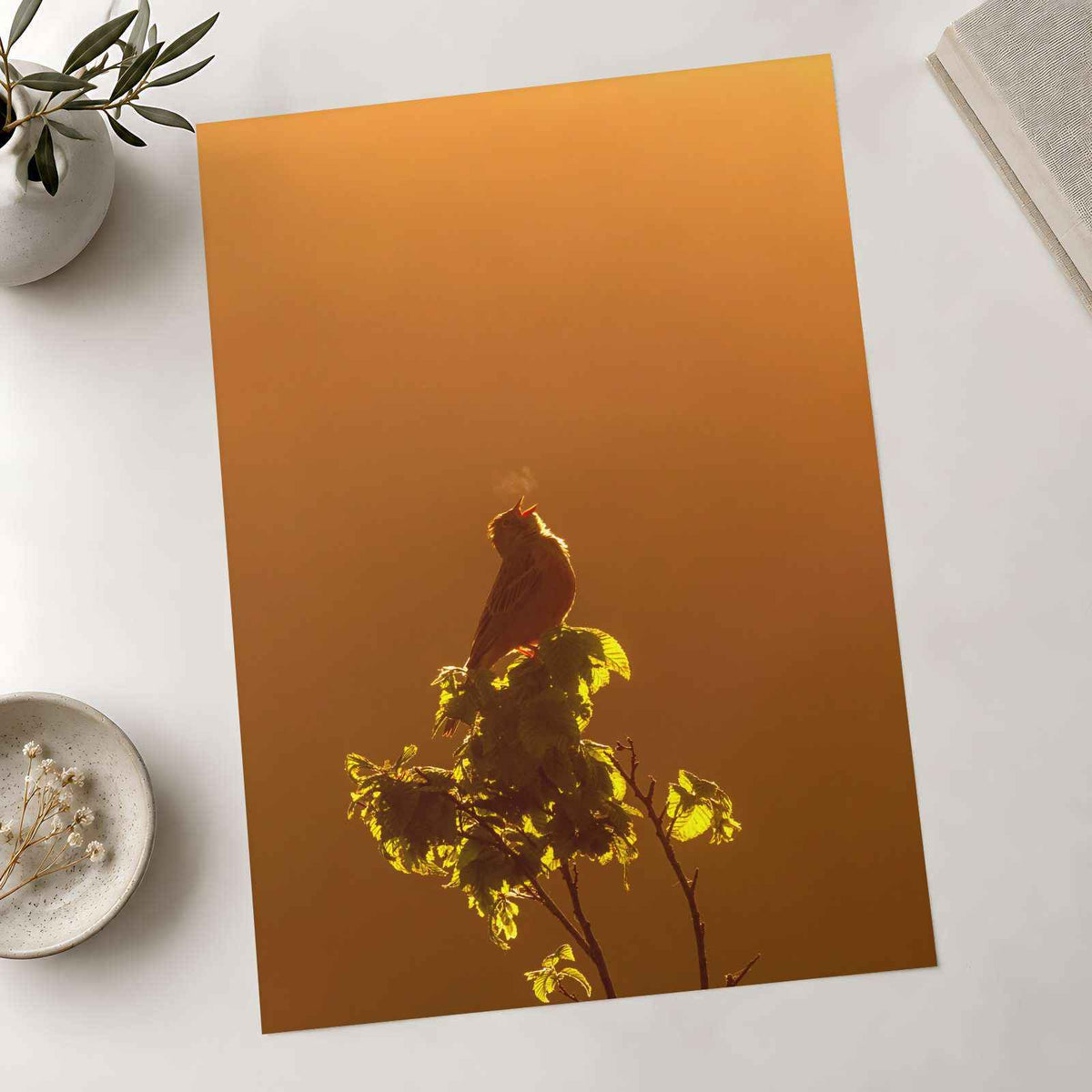 Bird Puffing Steam at Golden Hour Photography Print (7 Sizes) - Heavyweight