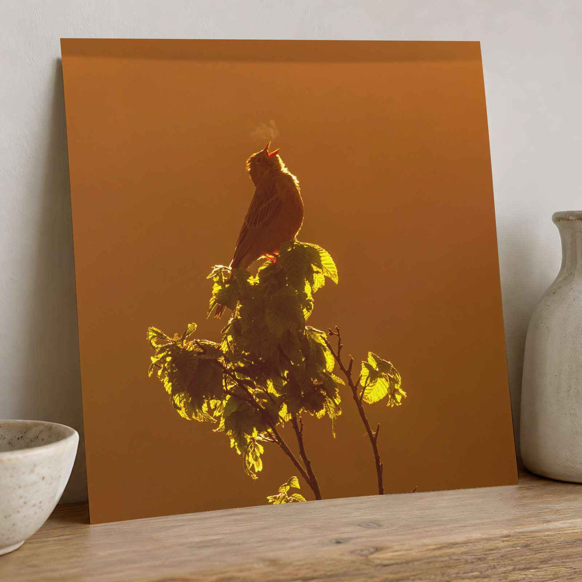 Bird Puffing Steam at Golden Hour Photography Print (7 Sizes) - Heavyweight