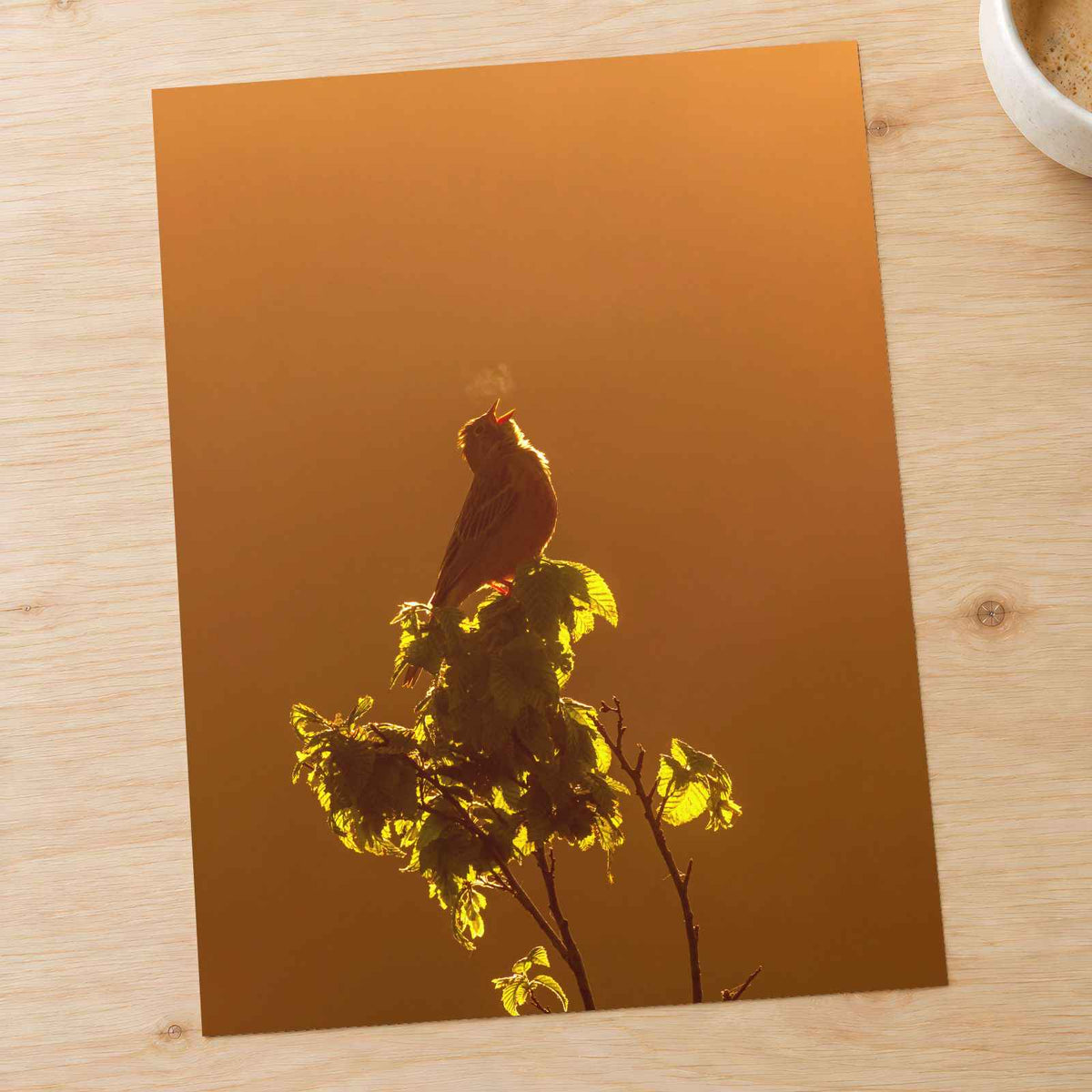 Bird Puffing Steam at Golden Hour by Daniel Mirlea Photo Print Wall Decor
