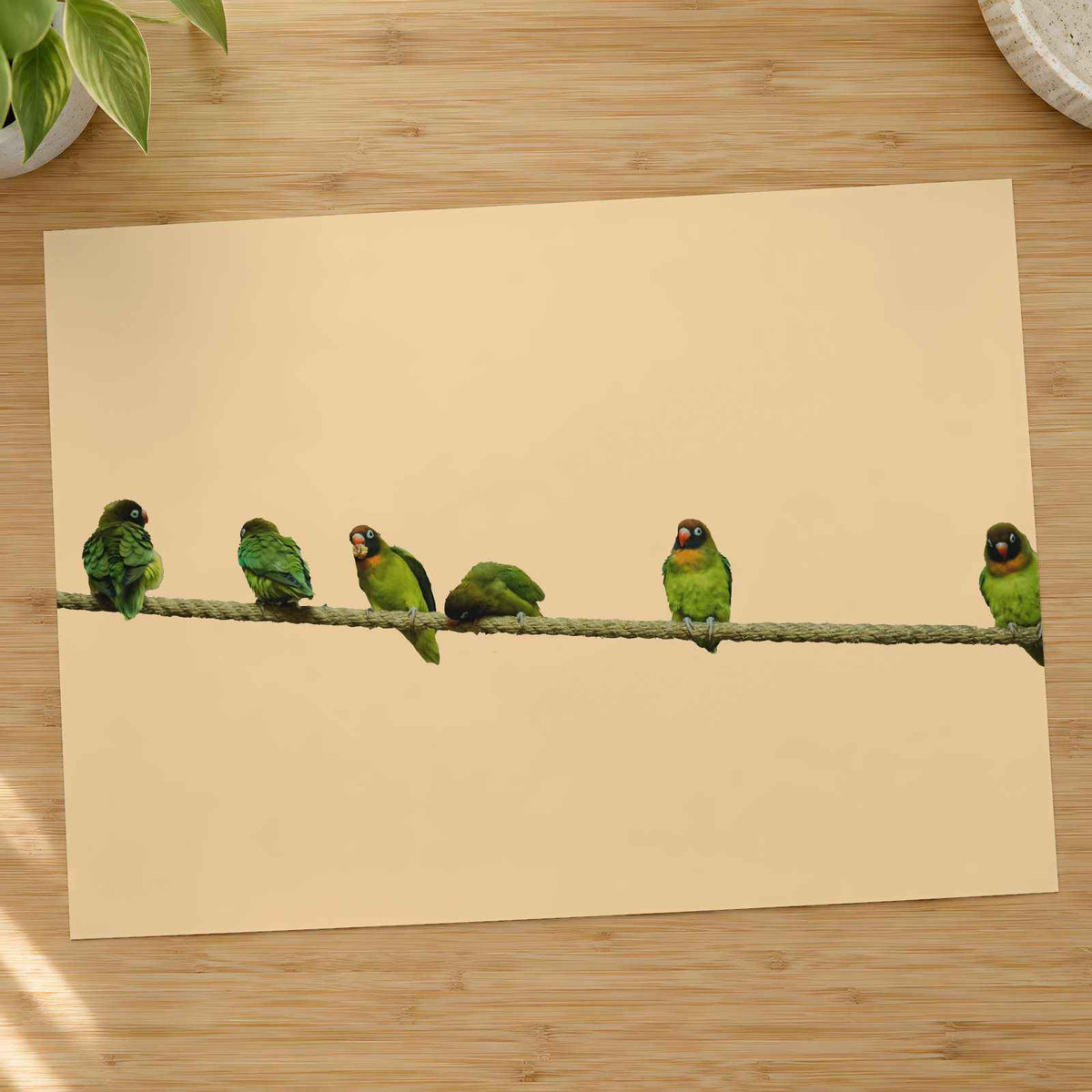 Group of Green Birds Sitting on Wire Ohio Photo Wall Art (7 Sizes)