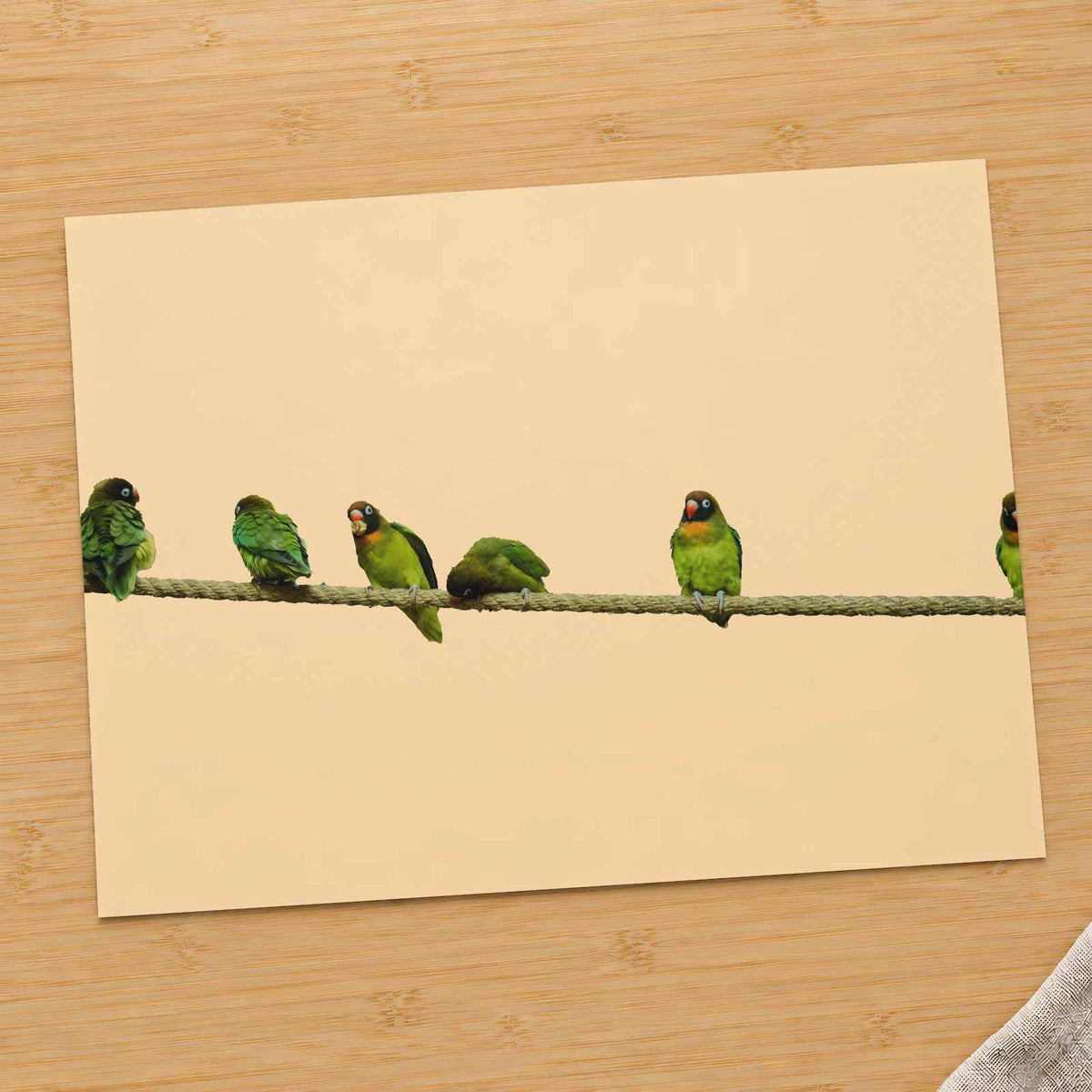 Group of Green Birds Sitting on Wire Ohio Photo Wall Art (7 Sizes)