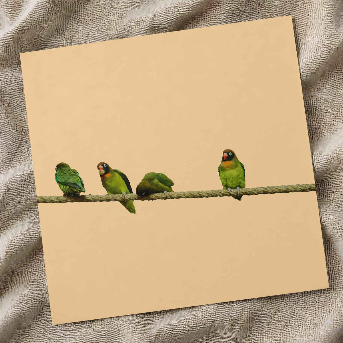 Group of Green Birds Sitting on Wire Ohio Photo Wall Art (7 Sizes)