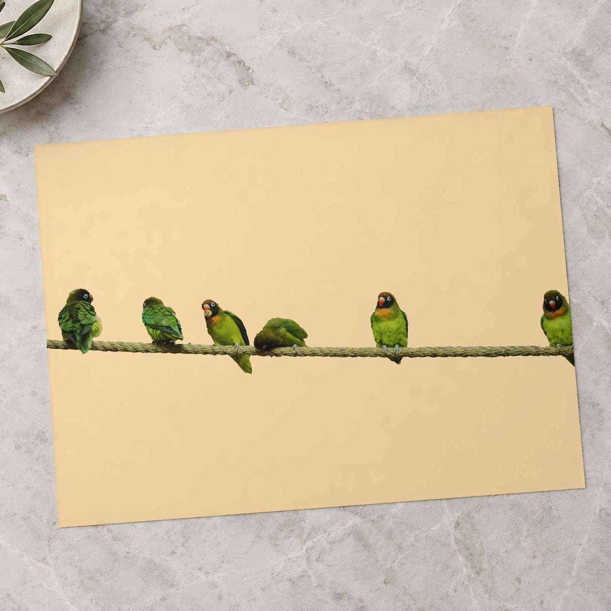 Group of Green Birds Sitting on Wire Ohio Photo Wall Art (7 Sizes)