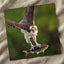 Osprey with Fish in Talons Photographic Art Print (5 Sizes) - Frameable
