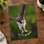 Osprey with Fish in Talons Photo Print Wall Decor