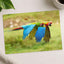 Couple of Colorful Scarlet Macaws Flying Photography Print (7 Sizes) - Frameable