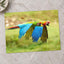 Couple of Colorful Scarlet Macaws Flying Photography Print (7 Sizes) - Frameable