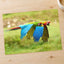 Couple of Colorful Scarlet Macaws Flying Photography Print (7 Sizes) - Frameable