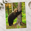 Brown Bear Hugging Tree Forest Photo Wall Print (7 Sizes) - Heavyweight