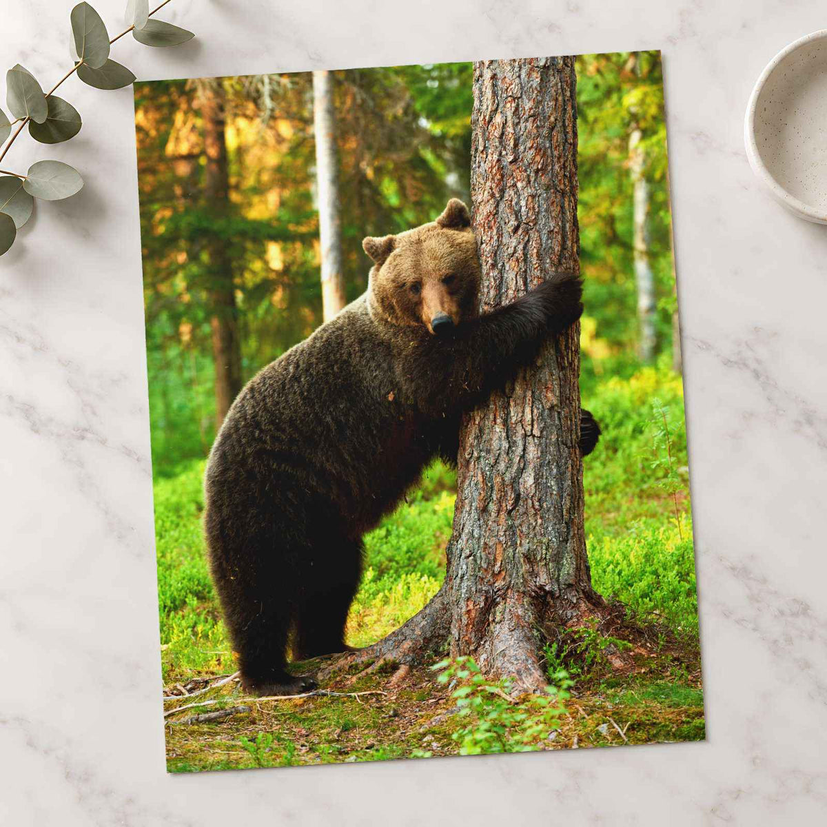 Brown Bear Hugging Tree Forest Photo Wall Print (7 Sizes) - Heavyweight
