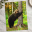 Brown Bear Hugging Tree Forest Photo Wall Print (7 Sizes) - Heavyweight