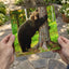 Brown Bear Hugging Tree Forest Photo Wall Print (7 Sizes) - Heavyweight