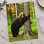 Brown Bear Hugging Tree Forest Photo Wall Print (7 Sizes) - Heavyweight