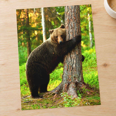 Brown Bear Hugging Tree Photo Print Wall Decor