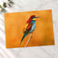Colorful Bird Sitting on Top of Tree Branch Photography Print (7 Sizes)