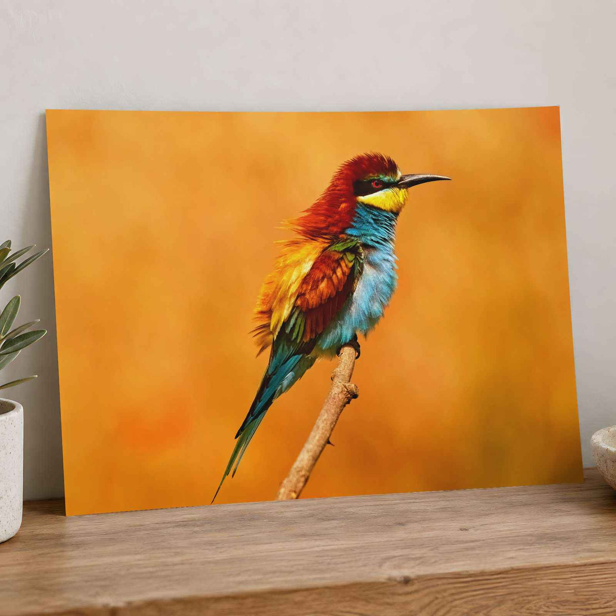 Colorful Bird Sitting on Top of Tree Branch Photography Print (7 Sizes)