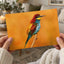 Colorful Bird Sitting on Top of Tree Branch Photography Print (7 Sizes)