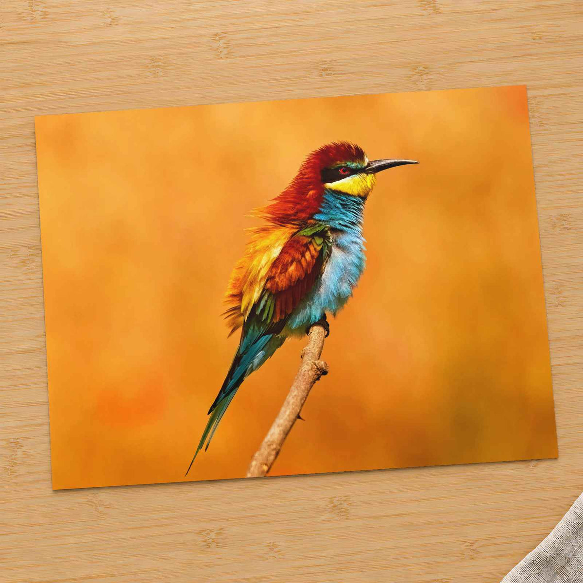 Colorful Bird Sitting on Top of Tree Branch by Zdeněk Macháček Photo Print Wall Decor