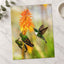 Three Humming Birds, Orange Flowers Photo Wall Print (7 Sizes) - Satin Luster