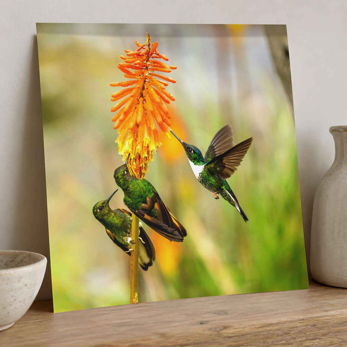 Three Humming Birds, Orange Flowers Photo Wall Print (7 Sizes) - Satin Luster