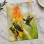 Three Humming Birds, Orange Flowers Photo Wall Print (7 Sizes) - Satin Luster