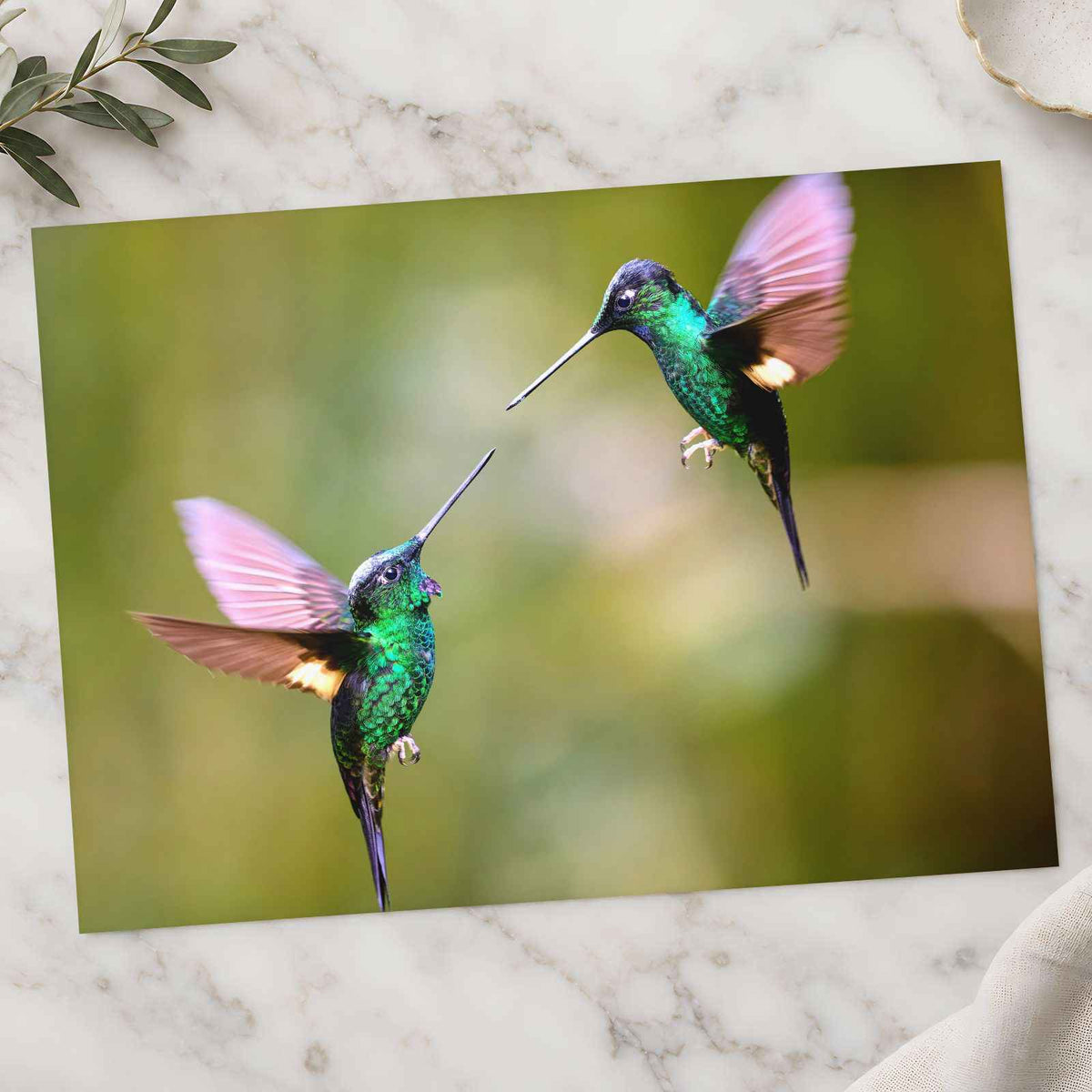 Couple of Hummingbirds Next to Each Other Photo Wall Print (7 Sizes) - Frameable