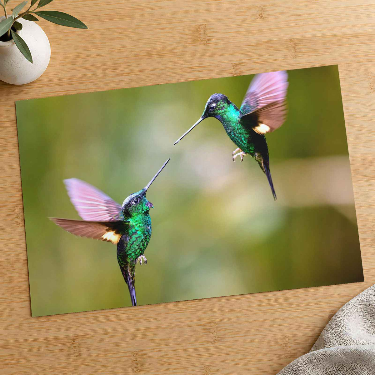 Couple of Hummingbirds Next to Each Other Photo Wall Print (7 Sizes) - Frameable