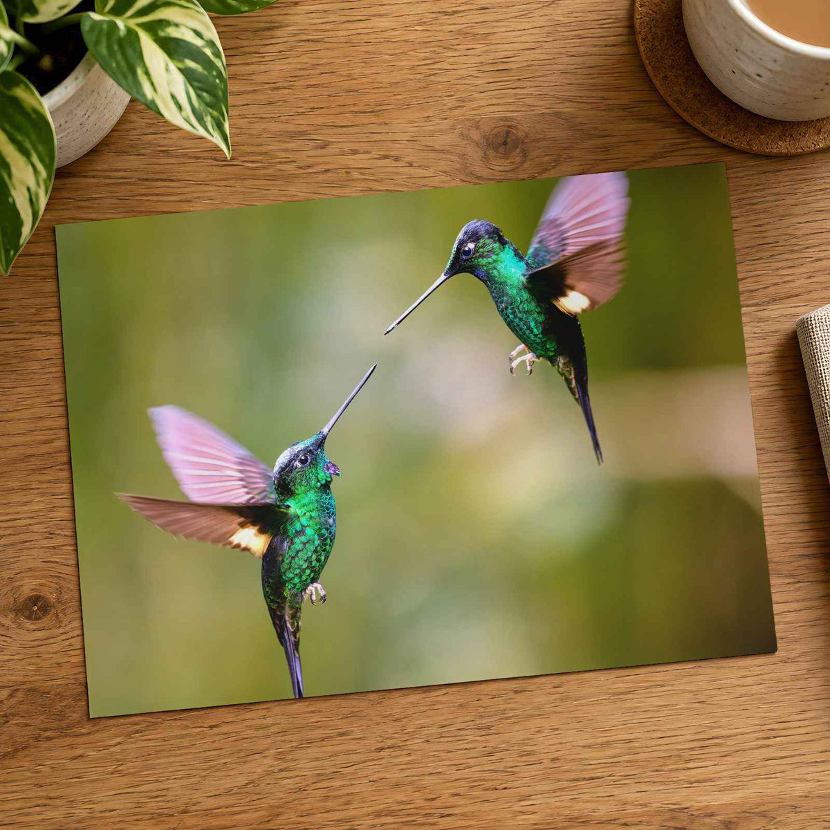 Couple of Hummingbirds Next to Each Other Photo Wall Print (7 Sizes) - Frameable