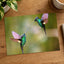 Couple of Hummingbirds Next to Each Other Photo Wall Print (7 Sizes) - Frameable