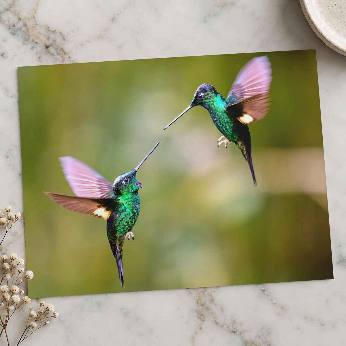Couple of Hummingbirds Next to Each Other Photo Wall Print (7 Sizes) - Frameable