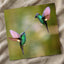 Couple of Hummingbirds Next to Each Other Photo Wall Print (7 Sizes) - Frameable