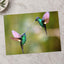 Couple of Hummingbirds Next to Each Other Photo Wall Print (7 Sizes) - Frameable