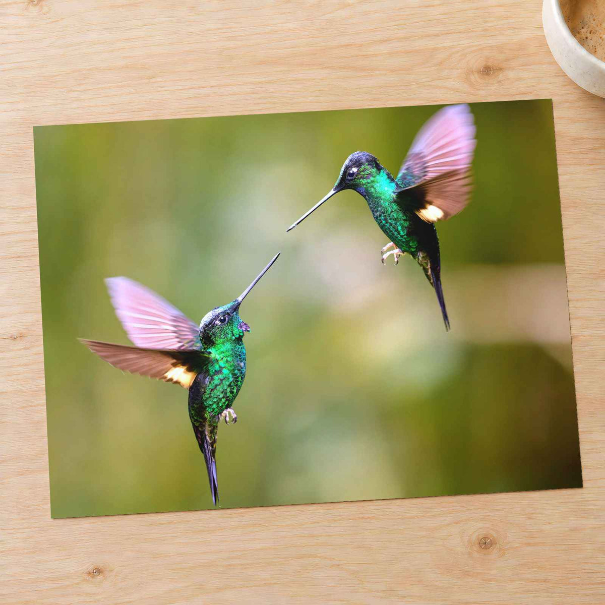Couple of Hummingbirds Next to Each Other by Zdeněk Macháček Photo Print Wall Decor