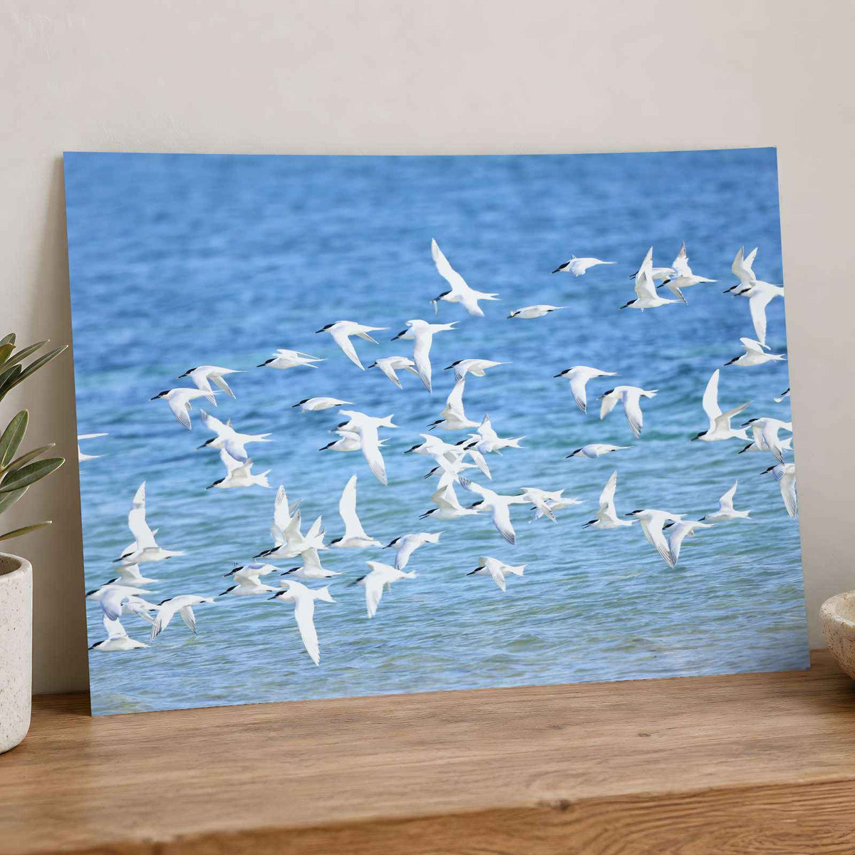 Flock of Birds Flying Over the Ocean Photo Print (7 Sizes) - High Quality
