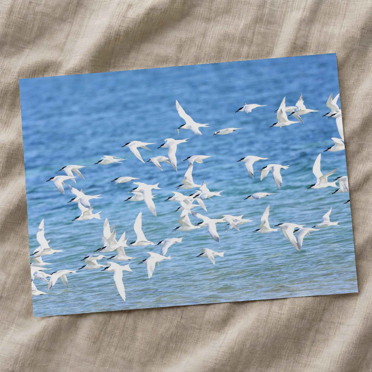 Flock of Birds Flying Over the Ocean Photo Print (7 Sizes) - High Quality