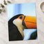 Close Up of Toucan Photo Print (7 Sizes) - Satin Luster
