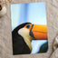 Close Up of Toucan Photo Print (7 Sizes) - Satin Luster
